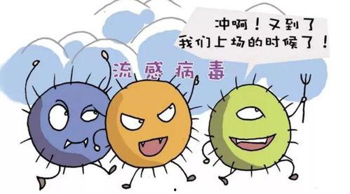 流感视频在线观看,在线观看流感科普视频,掌握防护知识 第3张 流感视频在线观看,在线观看流感科普视频,掌握防护知识 第3张